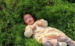 b站好看的免费日本电影